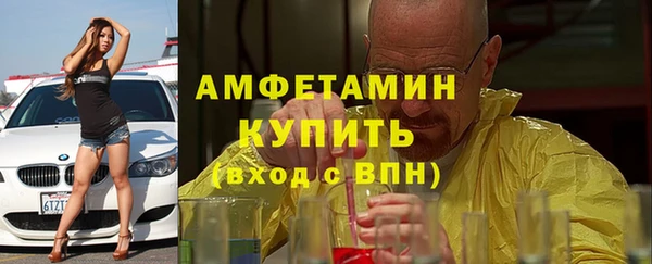 шишки Медвежьегорск