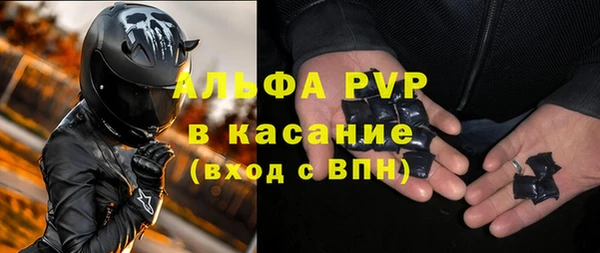 шишки Медвежьегорск