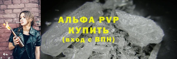 шишки Медвежьегорск