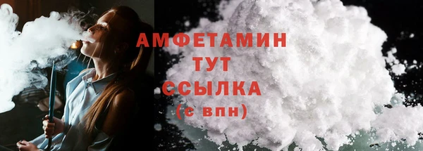 шишки Медвежьегорск