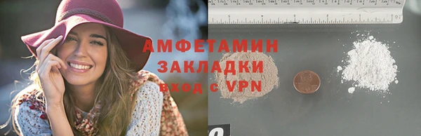 шишки Медвежьегорск