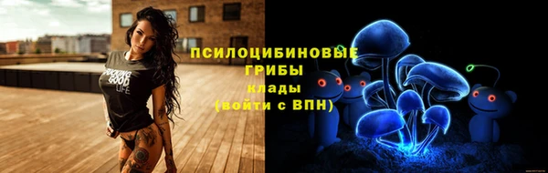 MDMA Медногорск