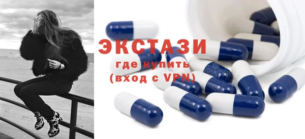 шишки Медвежьегорск