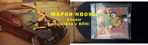 шишки Медвежьегорск
