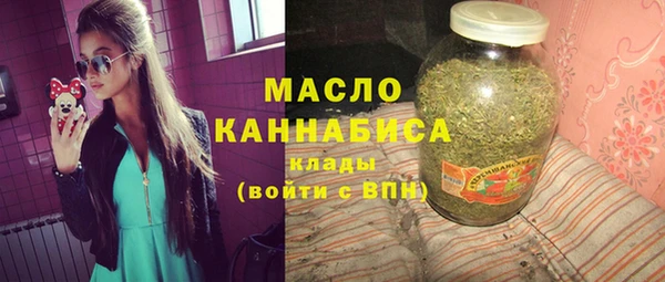 шишки Медвежьегорск