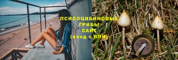 MDMA Медногорск