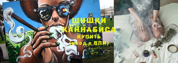 шишки Медвежьегорск