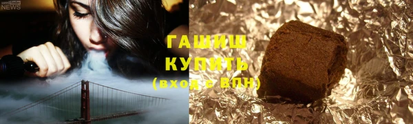шишки Медвежьегорск