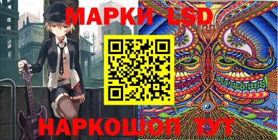 гидропоника Гатчина