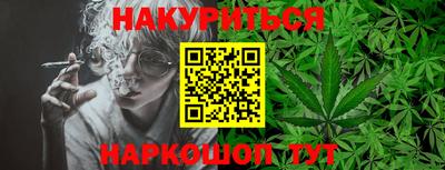 гидропоника Гатчина