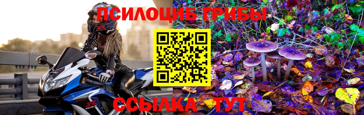 Псилоцибиновые грибы ЛСД  наркотики  Дивногорск 